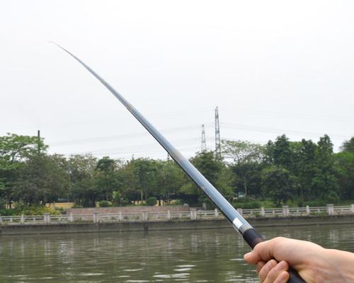 水库钓鱼技巧（提升钓鱼技能，让10米鱼竿成为你的利器）