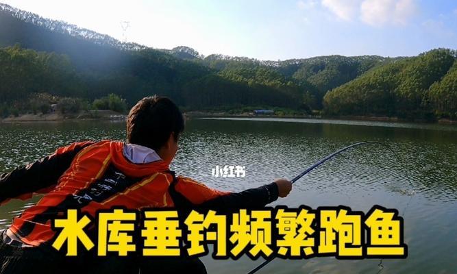 五月大水库钓鱼技巧与方法（探秘五月大水库的丰富鱼类资源，分享钓鱼技巧与经验）