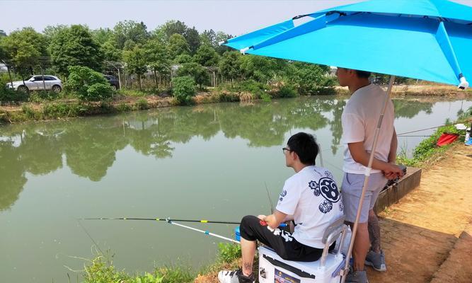五月池塘钓鱼技巧（提高钓鱼成功率的关键技巧）