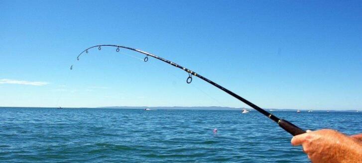 五月钓鱼小技巧（应对五月水温变化，提高钓鱼成功率）