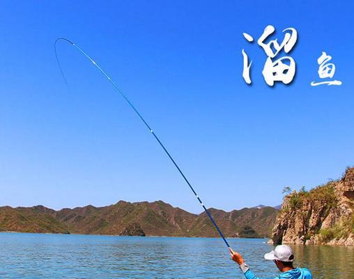 钓鱼达人教你如何利用12米手竿捕捉大鱼（全面解析12米手竿钓鱼的操作技巧和注意事项）