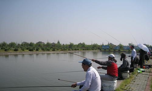 5月份水库钓鱼技巧与方法（细节决定成败，掌握关键能钓出好鱼）