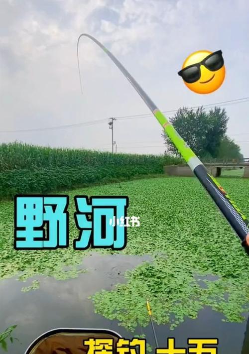 21度野河钓鱼技巧，轻松捕获大鱼！（掌握这些技巧，钓鱼就不再困难！）