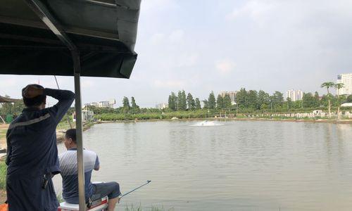 2米水肥钓鱼技巧（轻松钓获丰富渔获，关键在于水肥的运用）
