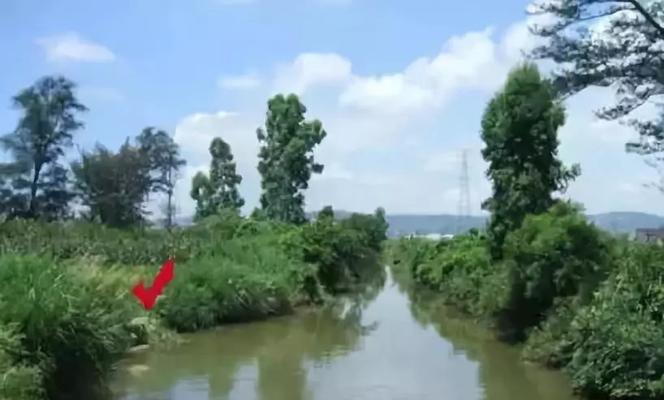 深水钓鱼技巧解密（掌握水深是关键）