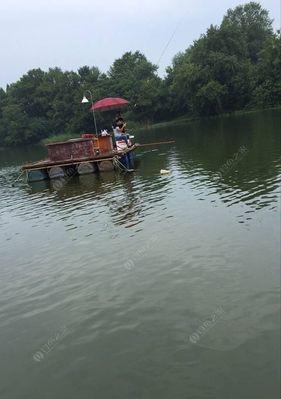 深水塘钓鱼技巧大揭秘（钓鱼达人分享30米深水塘的成功经验）