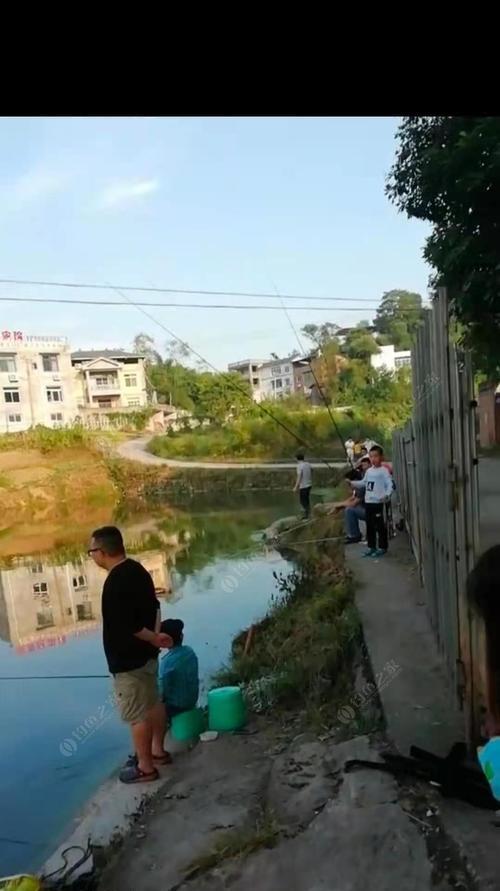 深河道钓鱼技巧（钓鱼达人分享的3米深河道钓鱼秘籍）