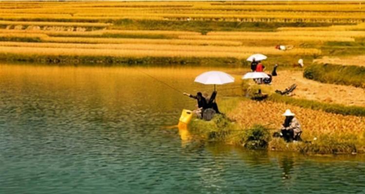4月雨水季节钓鱼技巧（探索雨季里的丰收钓鱼之道）
