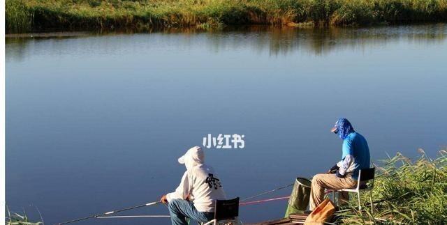 中年钓鱼技巧（50-60岁钓鱼技巧攻略，让你钓到满满的收获）