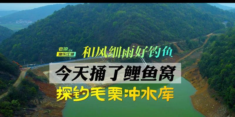 浅水夜钓鱼技巧详解（50公分以下鱼类的捕获技巧与注意事项）