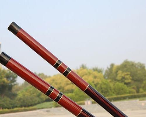 5米4鱼竿钓鱼技巧（钓鱼必备的利器与技巧）