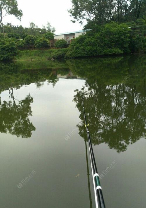 深水库钓鱼技巧（提升钓鱼成功率的5个关键技巧）