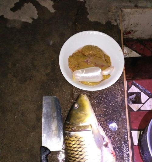 夜钓鲤鱼技巧口诀（捕获满载而归的关键）