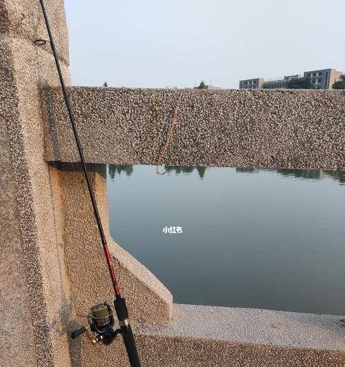 深水钓鱼技巧（6米水深的绝佳钓鱼经验）