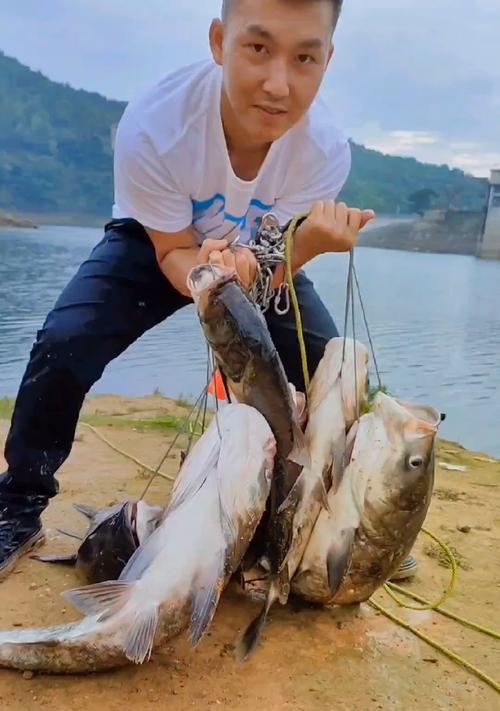 沉底钓鲢鱼的技巧（鲢鱼钓法，让你轻松收获丰盈）