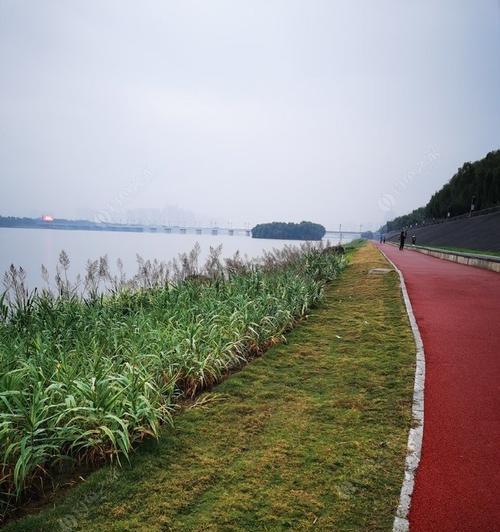 城市涧河钓鱼技巧（提升城市涧河钓鱼的成功率和乐趣）