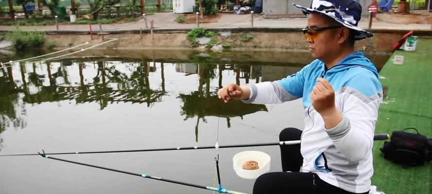 澄湖钓鱼调漂方法和技巧（提升钓鱼技巧，轻松钓到丰收）