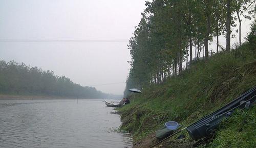 池塘钓鱼技巧（提升钓鱼技巧，享受池塘钓鱼乐趣）