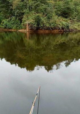 深水钓鱼技巧（池塘水深如何钓鱼，掌握这些技巧）