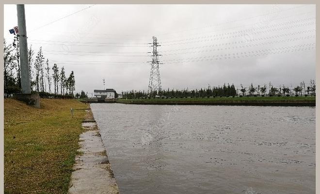 湖水退水，钓鱼技巧大揭秘（掌握钓鱼技巧，大湖退水更好钓）