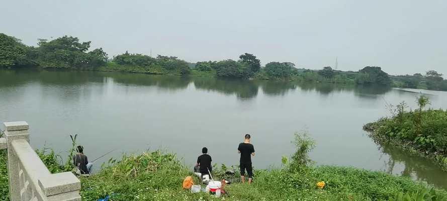 抽水闸钓鱼技巧（技巧、工具与策略解析）