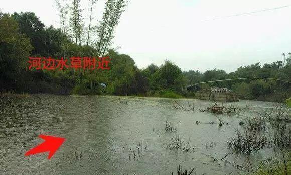 出生岛钓鱼技巧与注意事项（探索钓鱼乐趣，畅享出生岛的自然美景）