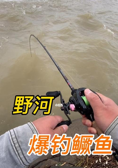 初春野河钓鱼技巧（掌握技巧，享受初春的乐趣）