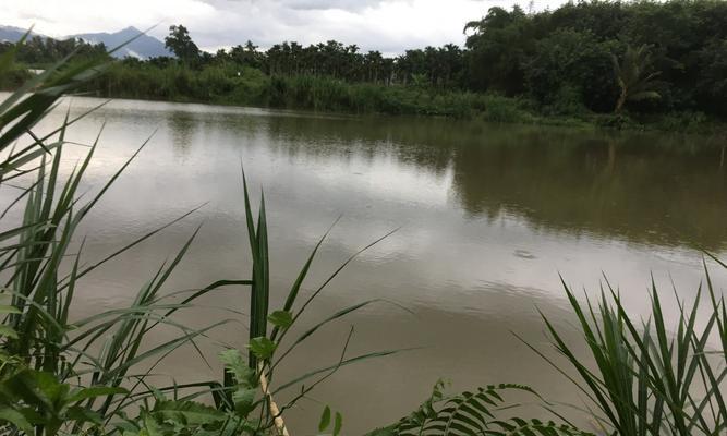 初春野外钓鱼技巧（初春湖泊钓鱼的秘密）