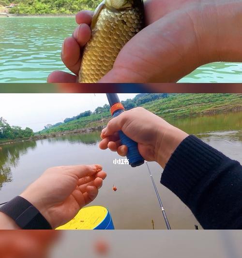 初春雨后钓鱼的技巧与心得（湿地垂钓，钓到好鱼的秘密）