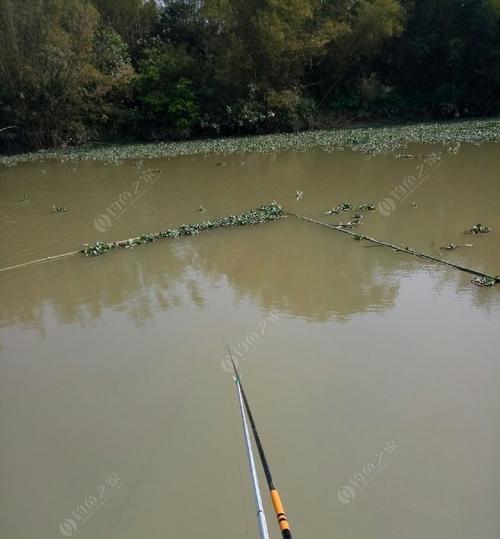 初春水钓鱼技巧（钓鱼技巧分享，助您初春垂钓更顺利！）
