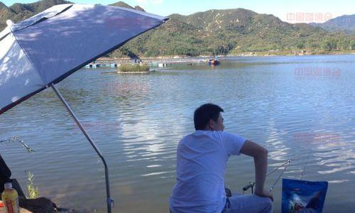 初村水库钓鱼技巧大揭秘（水库钓鱼技巧，尽在初村水库）