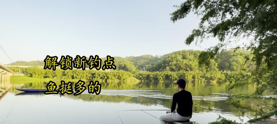 初冬湖野钓鲫鱼技巧（寻找最佳位置，提高钓鲫成功率）