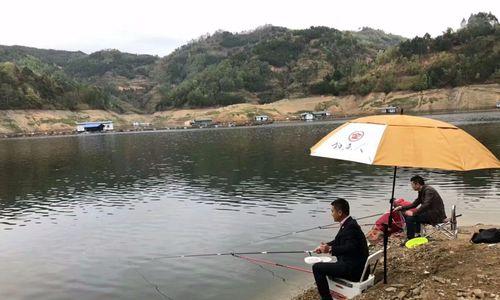 春分鲫鱼野钓的技巧与技巧（掌握春分钓鲫鱼的精髓，提高钓鱼效果！）