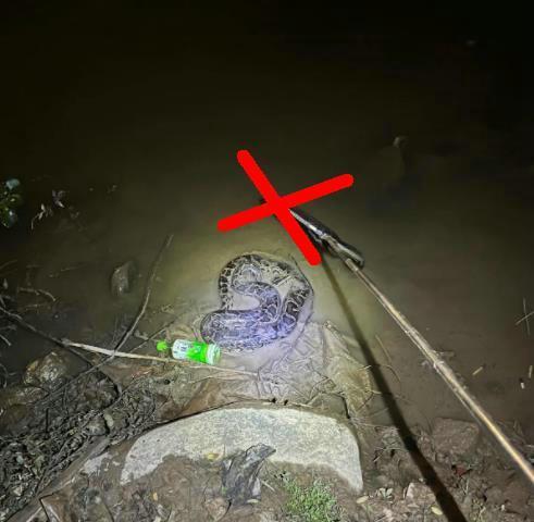 春分夜钓的技巧与注意事项（春分夜钓）