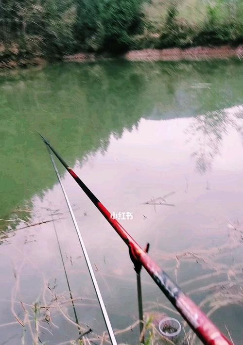 春季钓鱼技巧（春季钓鱼技巧详解，享受丰收的季节）