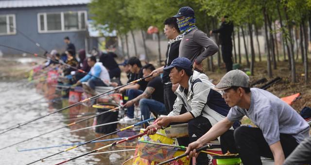 春季钓鱼技巧黑坑（揭秘春季钓鱼的最佳技巧，让你成为黑坑高手）