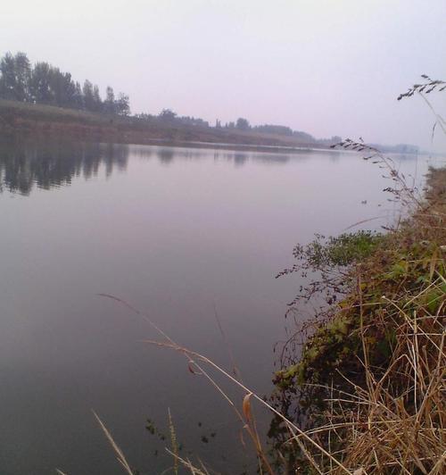春季浅滩钓鱼技巧（探秘野河中的钓鱼宝典）