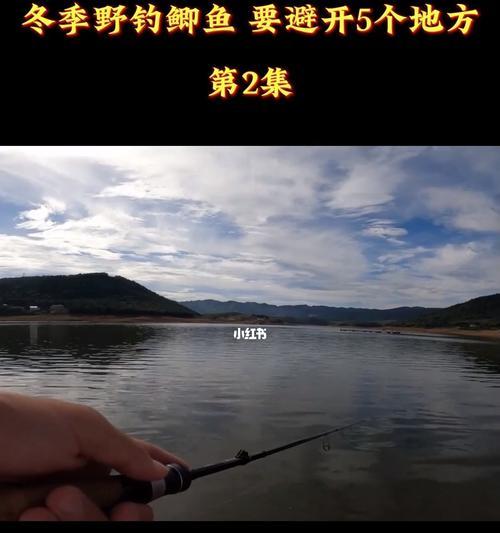 春季钓鱼技巧野钓综合（探秘春季野钓技巧，为你的钓鱼之旅加冕）
