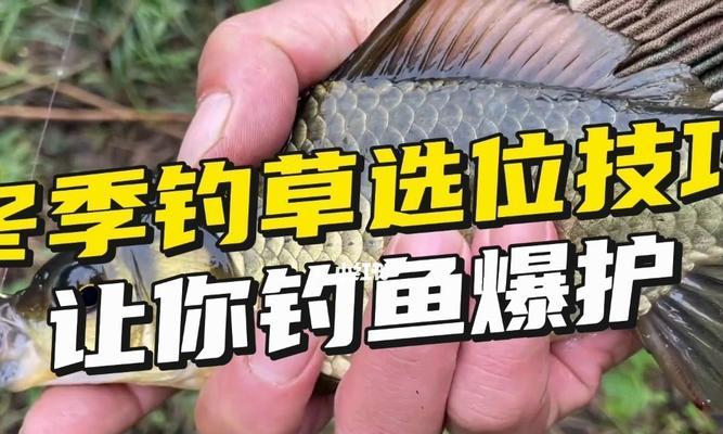 春季钓鱼选位技巧（钓鱼选位的关键技巧及注意事项）