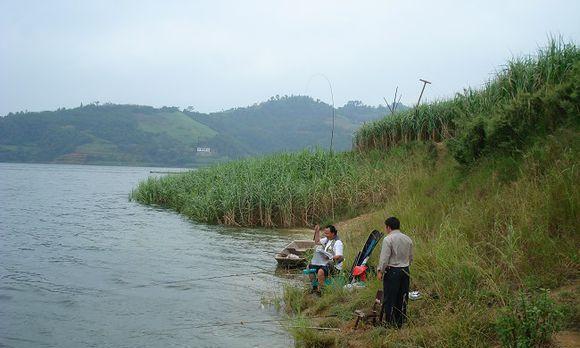 春季流水沟钓鱼技巧（掌握正确技巧，轻松捕获丰收）