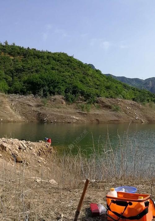 春季水库钓鱼技巧调漂（春季水库钓鱼技巧分享，助您提高钓鱼成功率）