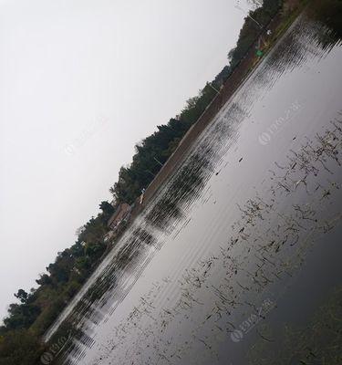 春季水库钓鱼技巧调漂（春季水库钓鱼技巧分享，助您提高钓鱼成功率）