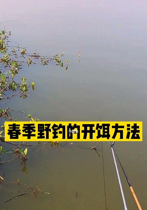 春夜钓鱼乐，技巧大揭秘（雨后清风迎，挥竿欲飞）