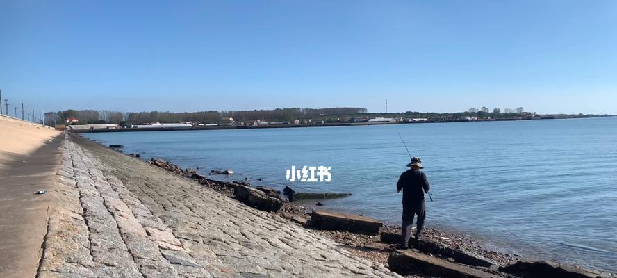 大海钓鱼技巧大揭秘（掌握精湛技巧，成为钓鱼高手）