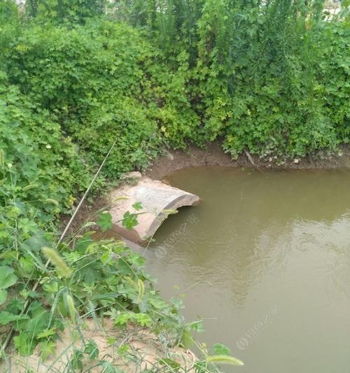 冬天大河深水钓鱼技巧（掌握钓鱼技巧，畅享冬日捕鱼乐趣）