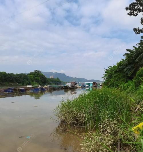 大江走水钓鱼技巧大揭秘（掌握这些技巧，让你的钓鱼收获大幅提升！）