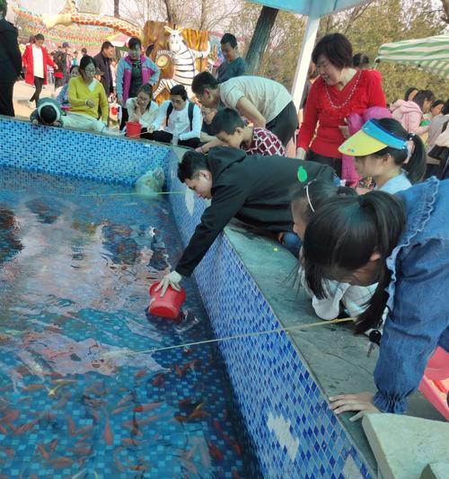 大金鱼钓鱼的绝妙技巧（技巧、经验和心得分享）