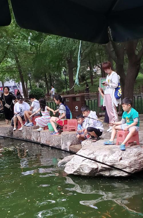 大金鱼钓鱼的绝妙技巧（技巧、经验和心得分享）