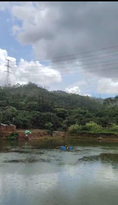 惠阳大坑水库钓鱼技巧（掌握关键技巧，轻松钓获丰收）