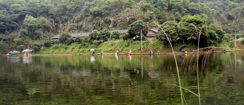 大连西山水库钓鱼技巧——垂钓乐园的秘密（探寻西山水库的宝藏钓点）